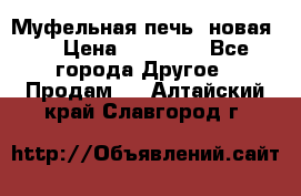 Муфельная печь (новая)  › Цена ­ 58 300 - Все города Другое » Продам   . Алтайский край,Славгород г.